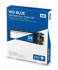 Ổ cứng SSD Western Digital WD Blue 250GB M.2 2280 SATA 3 - WDS250G2B0B